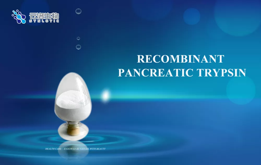 Jaka jest rola enzymów?