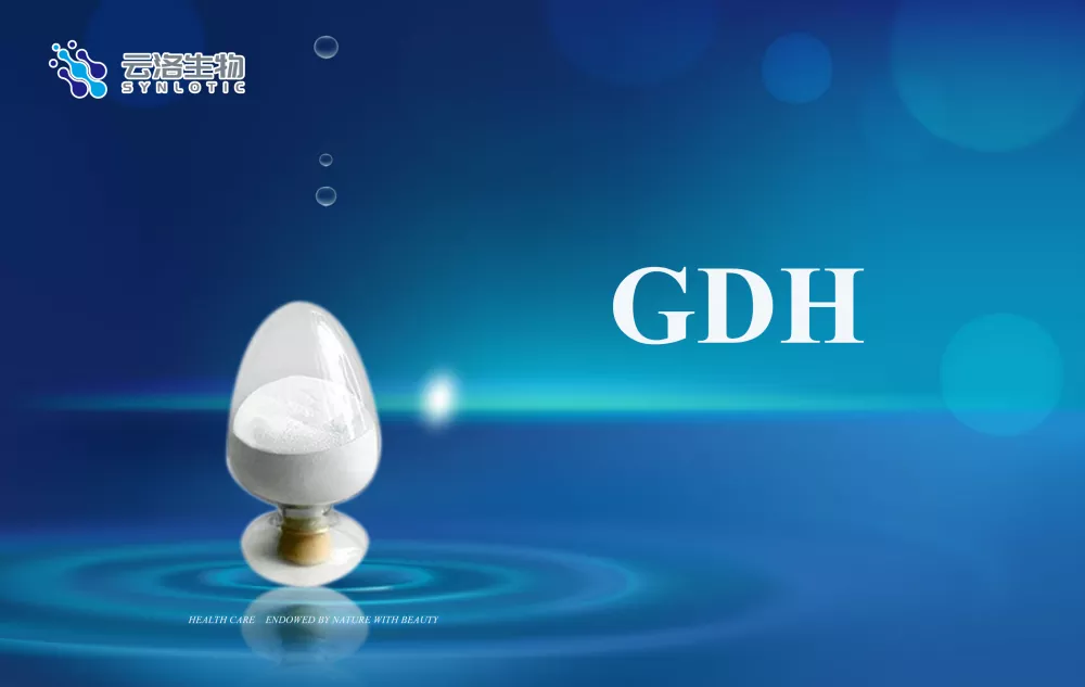 Jakie są podstawowe pojęcia dotyczące enzymów?