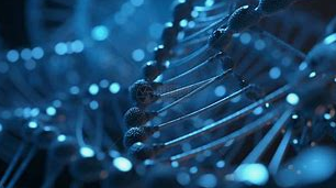 Ergotioneina: „złoto przeciwutleniające” w branży żywności i zdrowia